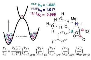 Heavy-Atom Kinetic Isotope Effects: Primary Interest or Zero Point?