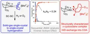 Inverse Isotope Effects in Single-Crystal to Single-Crystal Reactivity and the Isolation of a Rhodium Cyclooctane σ-Alkane Complex