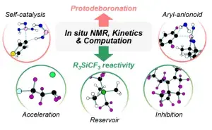  In Situ Studies of Arylboronic Acids/Esters and R3SiCF3 Reagents: Kinetics, Speciation and Dysfunction at the Carbanion–Ate Interface
