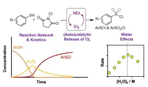 Thiol Chlorination with N-Chlorosuccinimide: HCl-Catalyzed Release of Molecular Chlorine and the Dichotomous Effects of Water