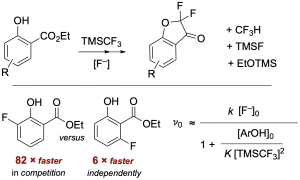 TMSCF3-Mediated Conversion of Salicylates into alpha,alpha-Difluoro-3-Coumaranones: Chain Kinetics, Anion-Speciation, and Mechanism
