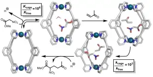 The Origins of High-Activity Cage-Catalyzed Michael Addition  