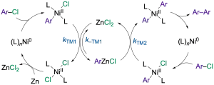 Kinetics and Mechanism of PPh3/Ni-Catalyzed, Zn-Mediated, Aryl Chloride Homocoupling: Antagonistic Effects of ZnCl2/Cl–