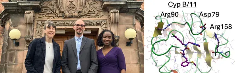 Left: Study coordinators Prof. Alison Hulme, Dr Dahlia Doughty-Shenton and Prof. Julien Michel at the Joseph Black Building's historic main entrance; Right: Molecular dynamics simulation of the team's pyclophilin B inhibitor.