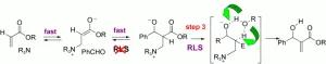 Re-evaluation of the Mechanism of the Baylis-Hillman Reaction: Implications for Asymmetric Catalysis