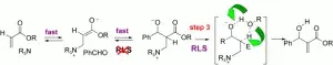 Re-evaluation of the Mechanism of the Baylis-Hillman Reaction: Implications for Asymmetric Catalysis