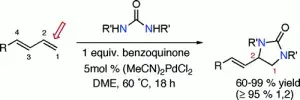 Pd(II) Catalysed Intermolecular 1,2-Diamination of Dienes