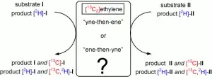 Rate Enhancement by Ethylene in Ru-catalysed Ring-closing Metathesis of Enynes