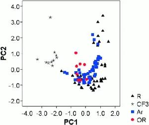 Computational Descriptors for Chelating P,P- and P,N-Donor Ligands