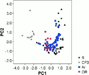 Computational Descriptors for Chelating P,P- and P,N-Donor Ligands