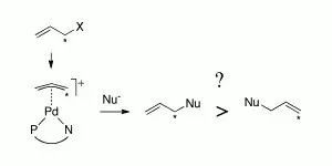 Memory and dynamics in Pd-catalyzed allylic alkylation with PN-ligands