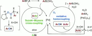 Aryl Trifluoroborates in Suzuki-Miyaura Coupling: The Roles of Endogenous Aryl Boronic Acid and Fluoride