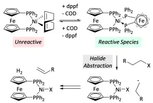 Unexpected Nickel Complex Speciation Unlocks Alternative Pathways for the Reactions of Alkyl Halides with dppf-Nickel(0)