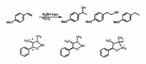Catalytic Asymmetric Hydroboration with Oxazaborolidines