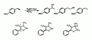 Catalytic Asymmetric Hydroboration with Oxazaborolidines