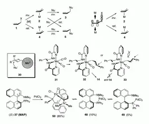 Transition Metal Catalysis in Organic Syntheis: Reflections, Chirality, and New Vistas