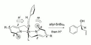 Modification of the Atropisomeric N,N-Ligand