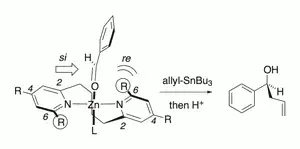 Modification of the Atropisomeric N,N-Ligand