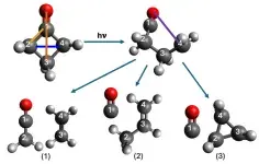 Green et al