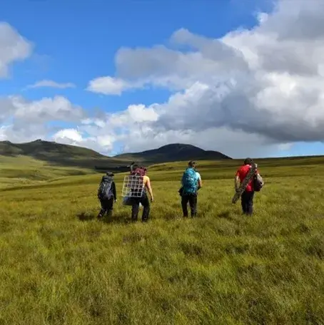 People walking through peatlands