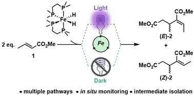 Mechanism of reductive dimerisation of alkenes