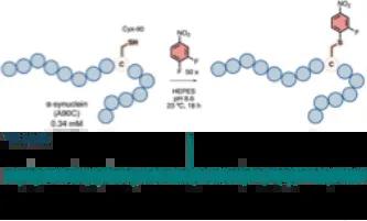 RSC ChemBio abstract