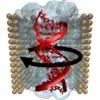 DNA rotary pump