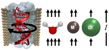 A DNA Rotary Pump
