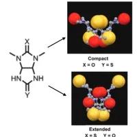 Equatorial Sulfur Atoms in Bambusurils Spawn Cavity Collapse