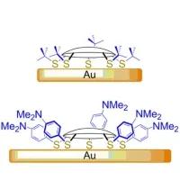 Chemisorbed Monolayers of Corannulene Penta-Thioethers on Gold