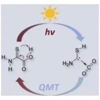 Equilibrating parent aminomercaptocarbene and CO$_2$ with 2-amino-2-thioxoacetic acid via heavyatom quantum tunneling