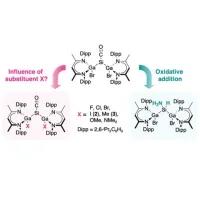 Synthesis, Electronic Nature, and Reactivity of Selected Silylene Carbonyl Complexes