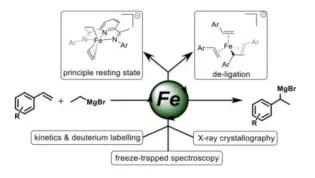 Mechanism of the Bis(imino)pyridine Iron-Catalysed Hydromagnesiation of Styrene Derivatives