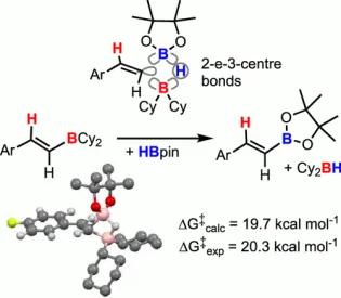 Kinetics and Mechanism of the Arase-Hoshi R2BH-Catalyzed Alkyne Hydroboration: Alkenylboronate generation via B-H/C-B Metathesis