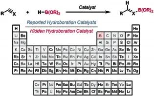 The Hidden Role of Boranes and Borohydrides in Hydroboration Catalysis 