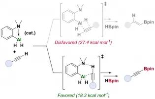 Aluminium-Catalyzed C(sp)−H Borylation of Alkynes