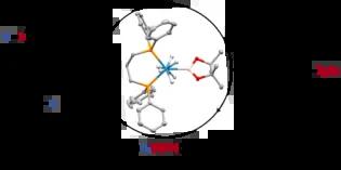 C–H Borylation Catalysis of Heteroaromatics by a Rhenium Boryl Polyhydride
