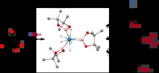 Synthesis and structures of anionic rhenium polyhydride complexes of boron–hydride ligands and their application in catalysis