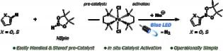 Iron-Catalysed C(sp2 )-H Borylation Enabled by Carboxylate Activation