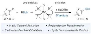 Manganese-Catalyzed C(sp2)-H Borylation of Furan and Thiophene Derivatives
