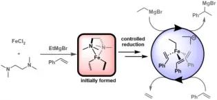 TMEDA in Iron‐Catalyzed Hydromagnesiation: Formation of Iron(II)‐Alkyl Species for Controlled Reduction to Alkene‐Stabilized Iron(0)