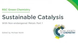 Iron Oxides and Simple Iron Salt-based Catalysis