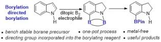 Arene C-H borylation example