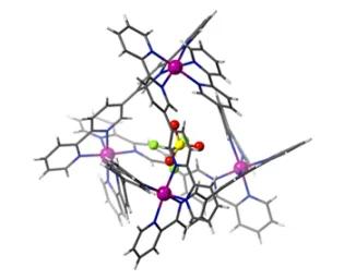 Paramagnetic Metallosupramolecular Coordination Cages
