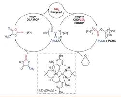 Carbon Dioxide Capture