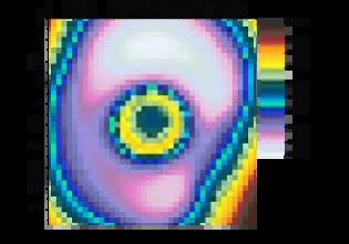 An Eye to the Future