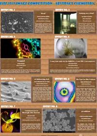 Image Competition 2019 