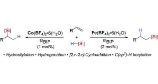  Chemical Science Thomas Group