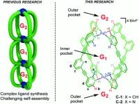 Allosteric catalysis