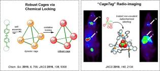 Various caged molecules